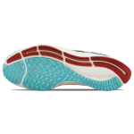 Nike Pegasus 38 Air Zoom
