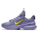 Nike Ambassador 13 LeBron Lakers 13