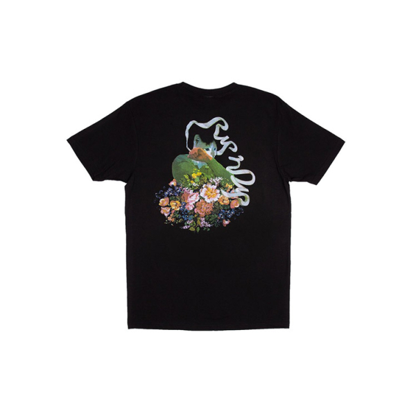 RIPNDIP T