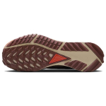 Nike Pegasus Trail 4 Gore-Tex