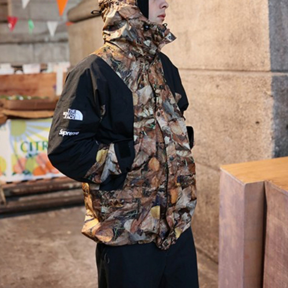 Supreme x /THE NORTH FACE FW16