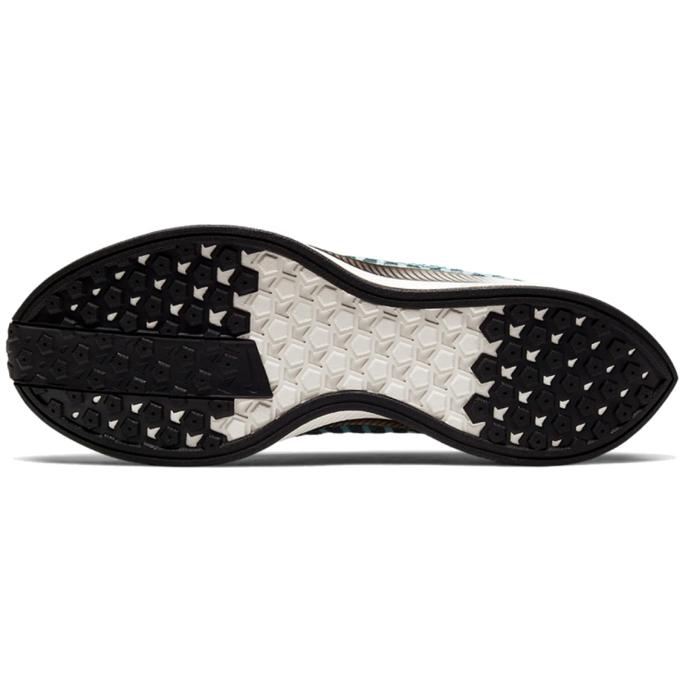 Nike Pegasus turbo 2