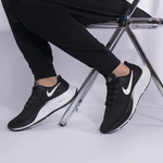 Nike Pegasus 37