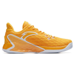 Anta RR5