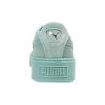 PUMA Platform Reset