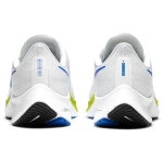 Nike Pegasus 37 Air Zoom/React TPU