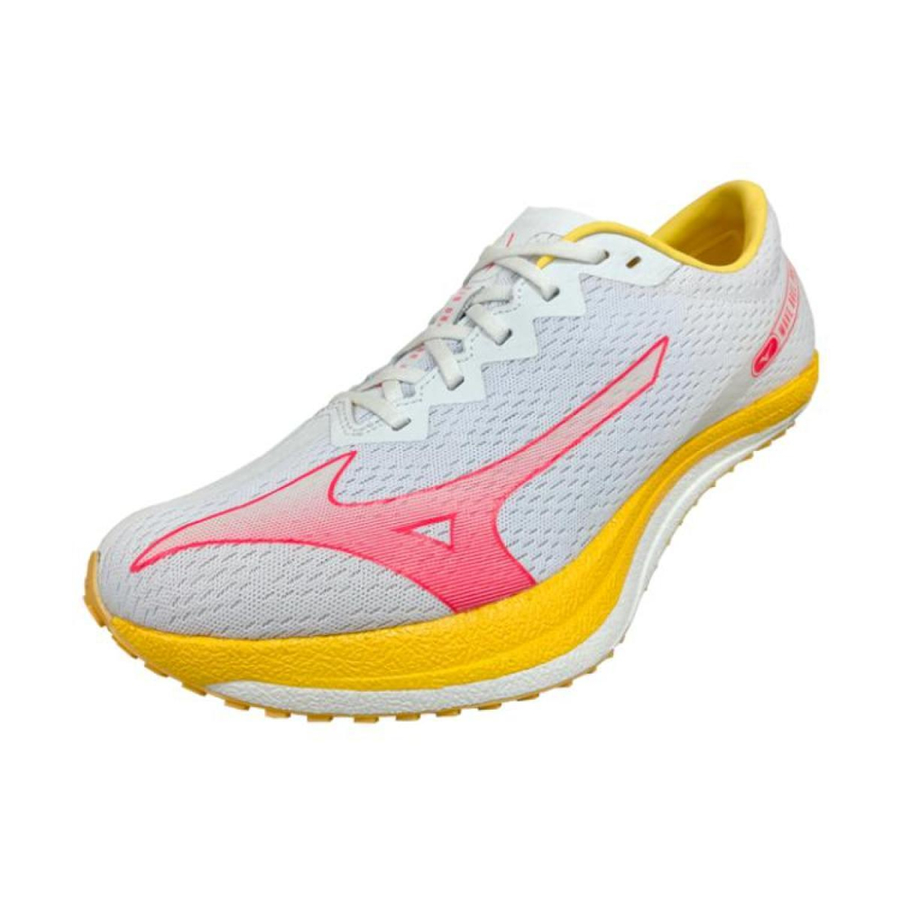Mizuno Pro