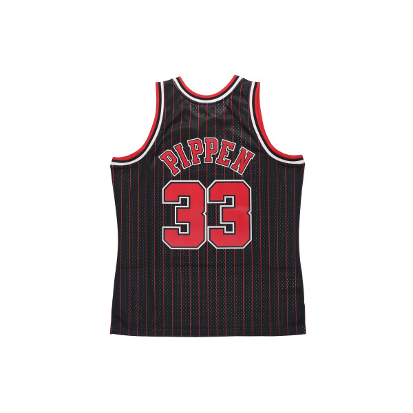 Mitchell & Ness NBA SW · 33