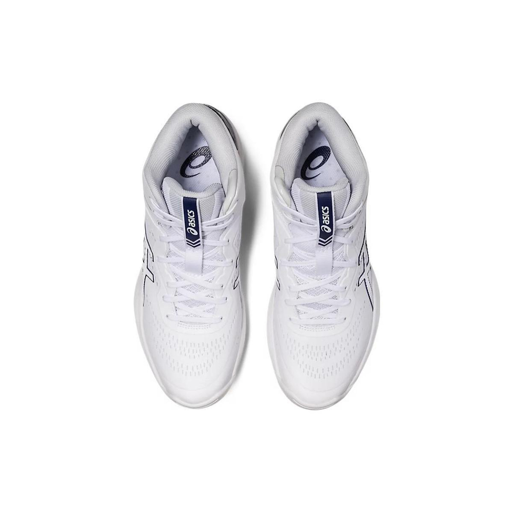 Asics Gel-Hoop V15