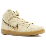 Nike Dunk SB Waffle