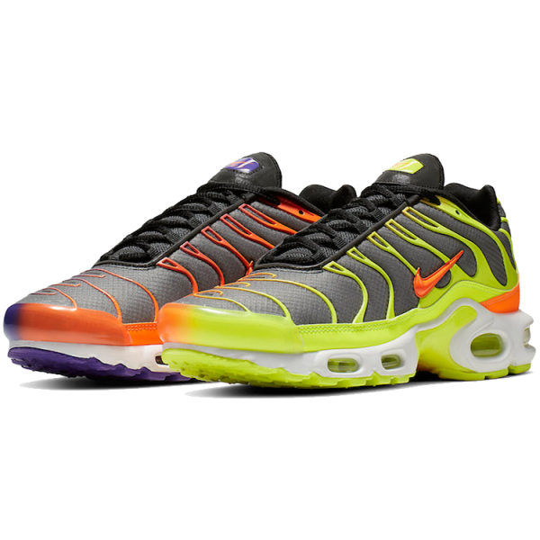 Nike Air Max Plus Color Flip
