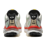 SALOMON XT-4 "Topography Pack"