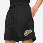 Nike Mesh Short Freak