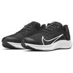 Nike Pegasus 38 FlyEase