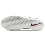 Nike SB Team Classic