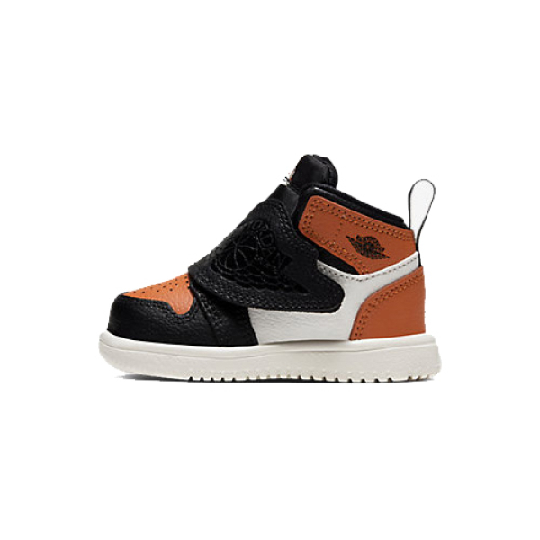 Jordan Air Jordan 1 Sky logo