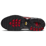 Nike Air Max Plus