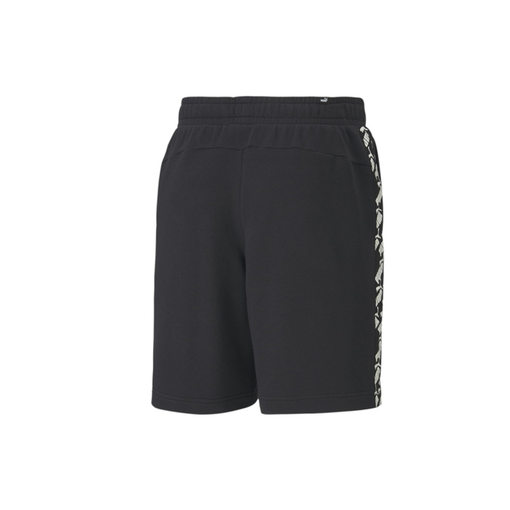 Puma AMPLIFIED Shorts 9" TR