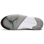 Jordan Air Jordan 5 Retro Grape 2013
