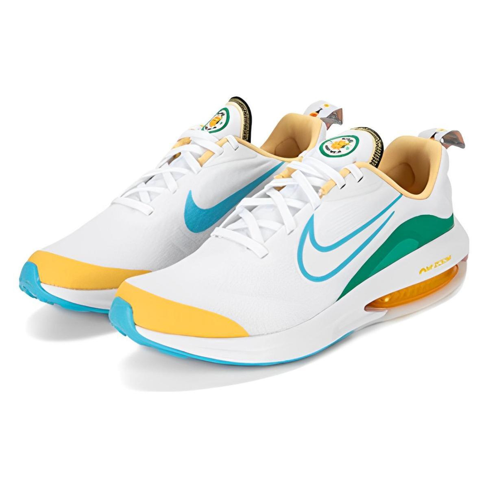 Nike Air Zoom Arcadia 2
