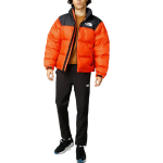 THE NORTH FACE 1996 Nuptse ICON 700