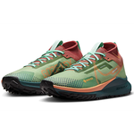Nike Pegasus Trail 4 GORE-TEX