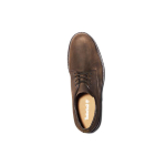 Timberland Stormbucks