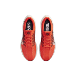 Nike Pegasus Turbo Next Nature