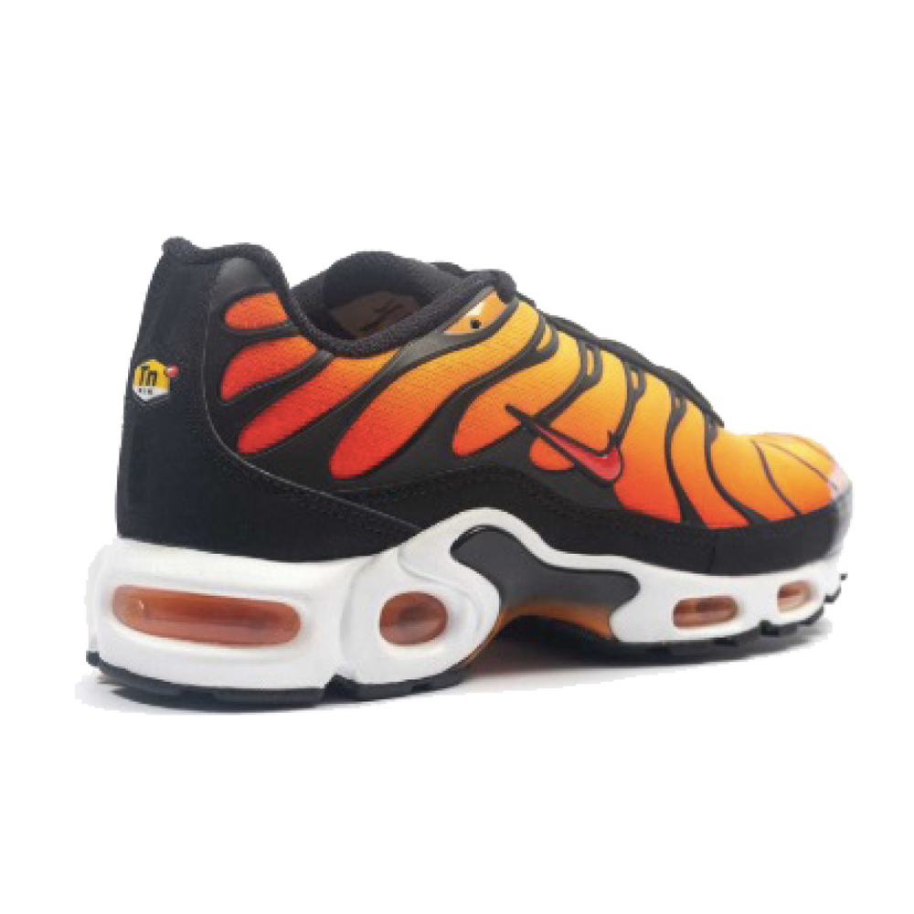 Nike Air Max Plus