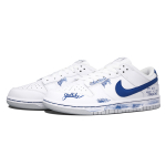 【 】 Nike Dunk Low “Pure Platinum”