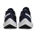 Nike Zoom Winflo 6