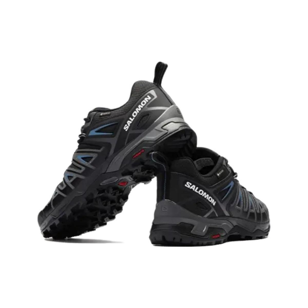 SALOMON X Ultra Pioneer GTX / /