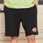 Dickies SS21 logo