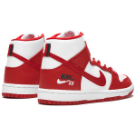 Nike Dunk SB Future Court Red