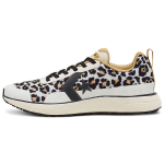 Converse Star Series