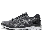 Asics Gel-Kayano 23