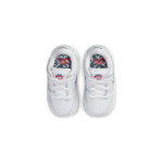 Oski x Nike Dunk SB