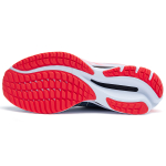 Mizuno Wave Rider 26