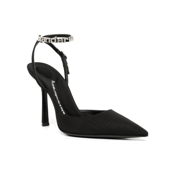 Alexander wang Delphine