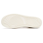 Anta