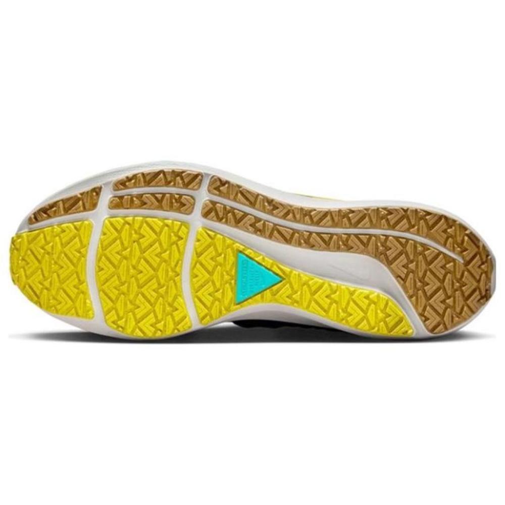 Nike Pegasus Turbo Shield