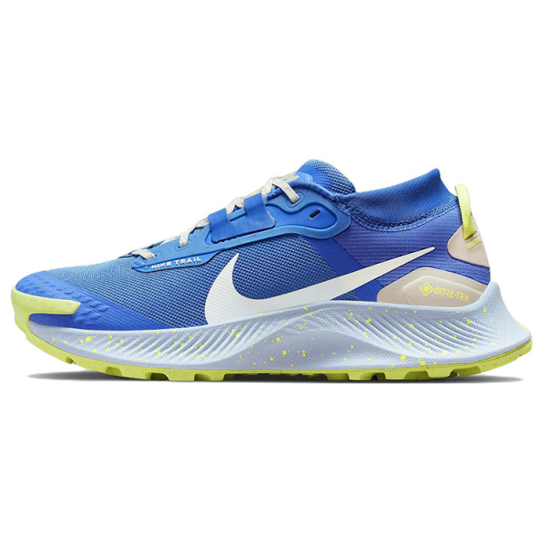 Nike Pegasus Trail 3 Gore-Tex
