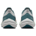 Nike Zoom Winflo 9