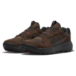 Nike ACG Lowcate