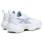 Reebok DMX Series