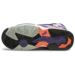 PUMA Disc System Weapon Discstory