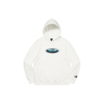 Supreme Week 9 x /THE NORTH FACE FW21 TNF Lenticular Mountains Hooded Sweatshirt Logo