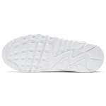 Nike Air Max 90 LTR