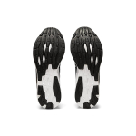Asics EvoRide 1