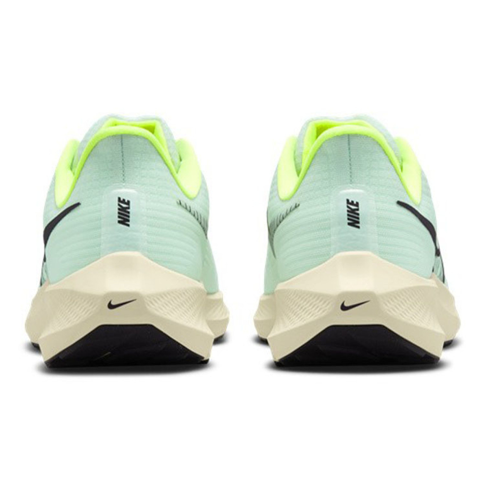 Nike Air Zoom Pegasus 39